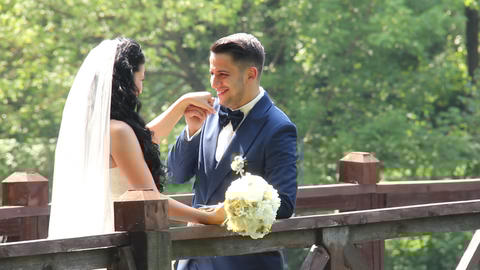 The Bridegroom Kisses the Bride's Hand