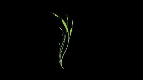 floral element 019