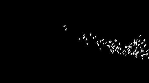 Flying bats 4k