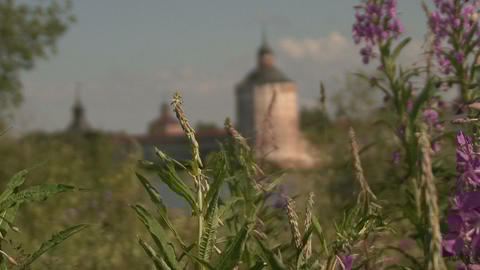 tower flowers