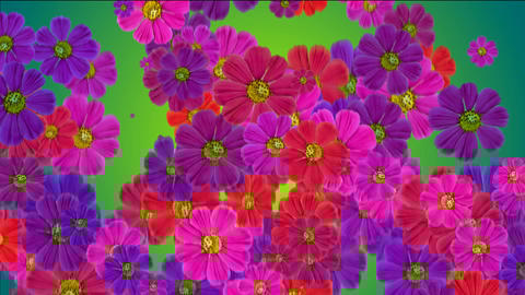 animation of falling flowers